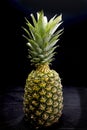 Pineapple standing against black background Royalty Free Stock Photo