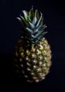 Pineapple still life shot on black background Royalty Free Stock Photo