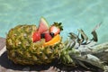 Pineapple stuffed with fruits Royalty Free Stock Photo