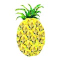 Pineapple stylized geometric, triangles