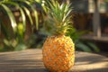 Pineapple on a table with tropical plants backdrop. Royalty Free Stock Photo