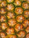 Pineapple texture Royalty Free Stock Photo