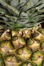 Pineapple Texture Royalty Free Stock Photo