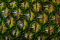 Pineapple texture background Royalty Free Stock Photo