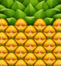 Pineapple texture pattern Royalty Free Stock Photo