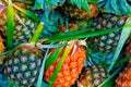 Yellow pineapple in the morning Market Royalty Free Stock Photo
