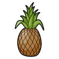 Pineapple tropical aromatic large juicy sweet fruit