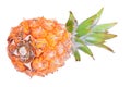 Pineapple tropical fruit or ananas isolated