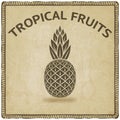 Pineapple tropical fruit symbol