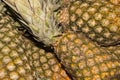 Pineapple Royalty Free Stock Photo
