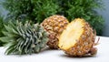 The pineapple is a tropical plant of half pieces.