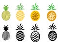 Pineapple Tropical Summer Fruit Icons