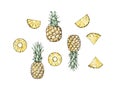 Pineapple, various pieces and slices