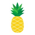 Pineapple tropical fruit vector illustration