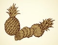 Pineapple. Vector drawing