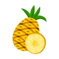 Pineapple vector.Fresh pineapple illustration Royalty Free Stock Photo