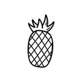 Pineapple vector icon in doodle style. Drawing sketch illustration hand drawn line.