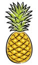 Pineapple Vector Illustration Royalty Free Stock Photo