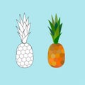 Pineapple vector illustration