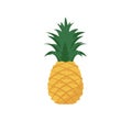 Pineapple vector illustration, 2D flat pinapple tropical summer fruit Royalty Free Stock Photo