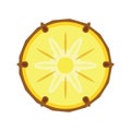 pineapple. Vector illustration decorative design