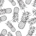 Pineapple vector seamless pattern Royalty Free Stock Photo