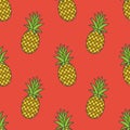 Pineapple.Vector seamless pattern Royalty Free Stock Photo