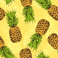 Pineapple vector seamless pattern Royalty Free Stock Photo