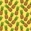 Pineapple vector seamless pattern Royalty Free Stock Photo