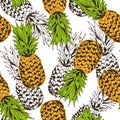 Pineapple vector seamless pattern Royalty Free Stock Photo
