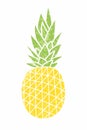 Pineapple - vintage icon. Cartoon drawing. Yellow ripe fruit wit