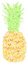 Pineapple Vitamins Concept