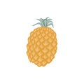 Pineapple and vitamins symbol vector illustration. Illustration with a tropical theme