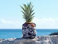 Pineapple wears camouflage bandana on the rock, blue ocean background.