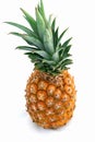 Pineapple on White Royalty Free Stock Photo