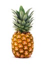 Pineapple on white background