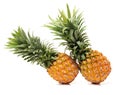 Pineapple Royalty Free Stock Photo