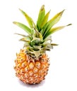 Pineapple on white