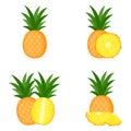 Pineapple, whole fruit, half, slice, vector illustration
