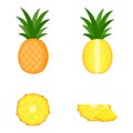 Pineapple, whole fruit, half and slices, vector illustration