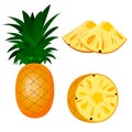 Pineapple, whole, half pineapple and pieces. vector isolated on white background Royalty Free Stock Photo