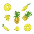 Pineapple, whole and sliced cartoon illustration set