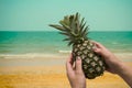 Pineapple on woman hand with tropical beach in background. Tropical summer concept. Royalty Free Stock Photo