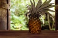 Pineapple on wooden table in country kitchen on background of garden country. Royalty Free Stock Photo