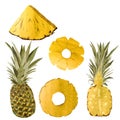 Pineapple yellow fruit half slice set watercolor Royalty Free Stock Photo