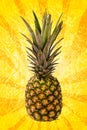 Pineapple on yellow spiral