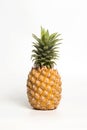 Pineapple yellow on a white background