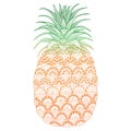 Pineapple zentangle stylized for t-shirt graphics, cards and so on