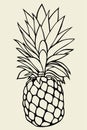 Pineapple vector Illustration Royalty Free Stock Photo