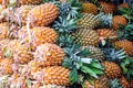 Pineapples group sale on fruit market